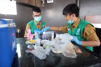 Pemeriksaan kesehatan hewan kurban di Jakut digelar hingga H+3