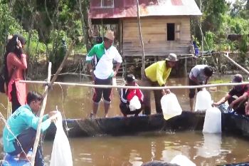 Dinas Perikanan tabur 60.000 benih ikan jelawat