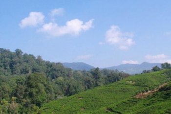 Pemkab Bogor kenalkan destinasi wisata ke dunia lewat "Halimun Youth Camp" 2019