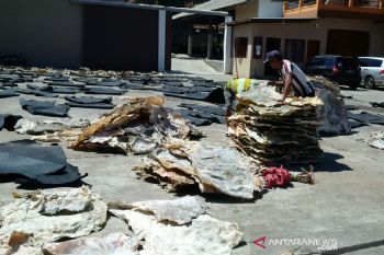 Harga kulit hewan kurban di Garut anjlok