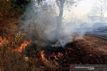 Empat kebakaran lahan terjadi dalam satu hari