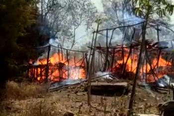 Mengapa kampung adat di NTT rawan kebakaran? ini penjelasannya