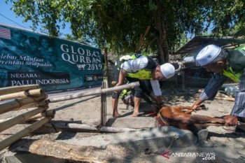 Bantuan hewan kurban Global Qorban Malaysia