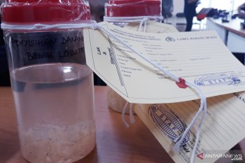Bareskrim Polri tangkap 10 tersangka jual beli bibit lobster di Lampung