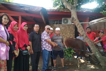 Pengurus PDIP membagikan daging hewan kurban ke warga Mataram