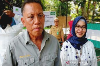Pria ini sudah membuktikan pertanian di lahan gambut tanpa bakar