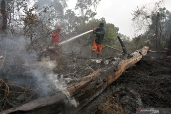 TNTN seluas 38.576 Ha harus terjaga dengan baik