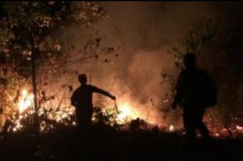 Polda Kepri imbau warga tidak buka lahan dengan cara membakar