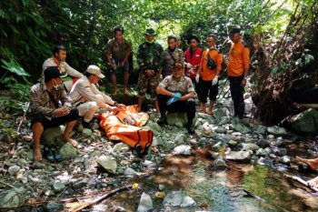 Pencari madu  hutan temukan mayat sudah jadi kerangka