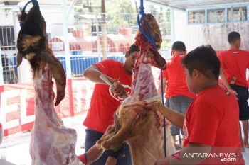 Telkomsel Serahkan 751 Hewan Kurban