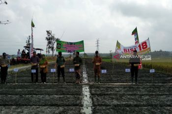Petani bawang merah Desa Srikayangan tanam perdana