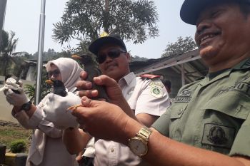 Balai Karantina gagalkan pengiriman 910 ekor satwa liar