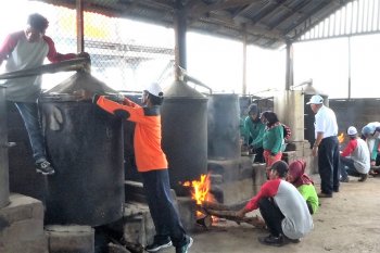 Si Telmi Biam, penemuan Kemenperin lolos ajang kompetisi inovasi