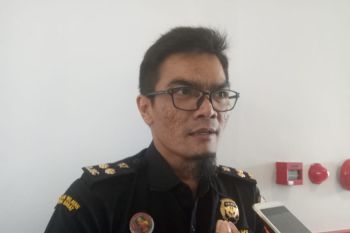 Bea Cukai dorong ekspor produk nontambang dari Timika