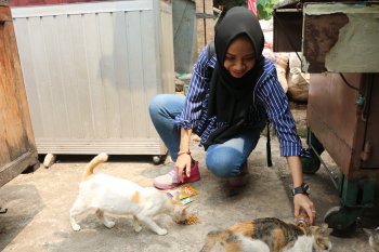 Cahaya bagi kucing jalanan tak bertuan di Ibu Kota