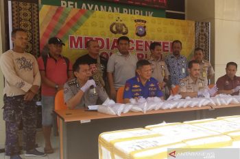 Polda Riau gagalkan penyelundupan benih lobster senilai Rp14,6 M