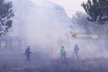 Akibat lahan terbakar, kantor Dishub Palangka Raya hampir terbakar