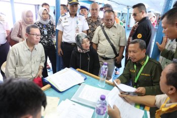 Wagub periksa kapal asing pengangkut ikan kerapu