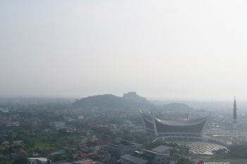 Kebakaran lahan di Solok dan Dharmasraya