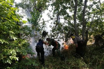 Kebakaran lahan terjadi di beberapa lokasi di Bangka Barat