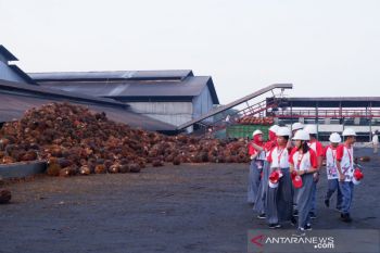 Peserta SMN Sulawesi Tengah kunjungi PTPN IV di Kebun Adolina