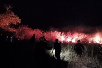 Bupati Lombok Utara meminta kades cegah pembakaran lahan