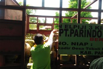 Pertamina jamin stok elpiji bersubsidi di Sulteng aman