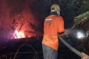 Satgas catat luas Karhutla Riau mencapai 5.345 hektare