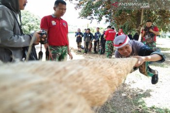 23 peserta SMN Babel ikuti halang rintang di Lanud Haluoleo