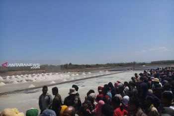 Warga optimistis tambak garam di Nunkurus tingkatkan perekonomian