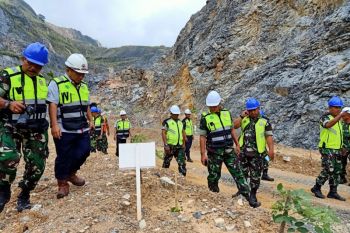 Pohon di areal bekas tambang Semen Padang mulai tumbuh
