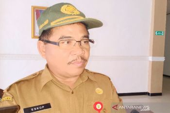 Pemkab Barito Timur tetapkan status darurat karhutla
