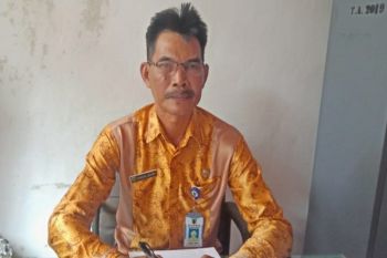 228 orang mendaftar sebagai bacalon kades di Barsel