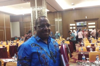 Bappeda Papua segera pantau kondisi venue PON XX 2020