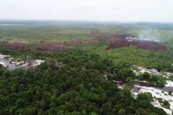 Lahan terbakar diduga hutan tanaman industri sulit dijangkau