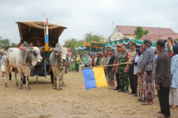 Puluhan peserta meriahkan Festival Gerobak Sapi Merdeka