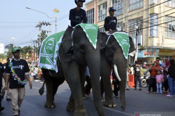 Lampung tahun 2020 gelar 86 kegiatan wisata