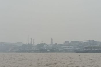Kabut asap tebal, Kadinkes Inhil imbau masyarakat selalu gunakan masker