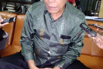 Peristiwa Papua dinilai sebagai pembelajaran berharga Indonesia