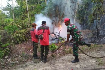 Setelah diguyur hujan Batanghari tidak ada titik api