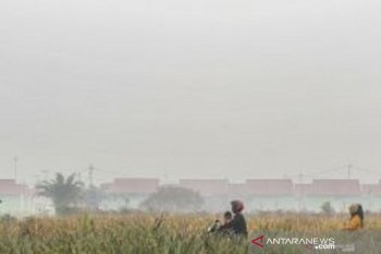 Korban alami iritasi mata akibat asap Riau terus bertambah