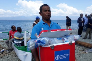 Nelayan Palu-Donggala mulai melaut setelah dapat bantuan dari FAO