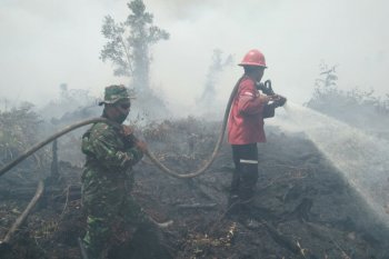 Kebakaran hutan dan lahan di Bengkalis meluas