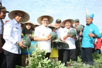 Pemkab Banyuwangi dorong petani garap produk turunan semangka
