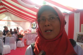 Pemprov NTB : tak ada penerima beasiswa di Korea terlantar