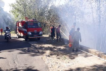 Satu hektare pesisir Danau Tondano  terbakar