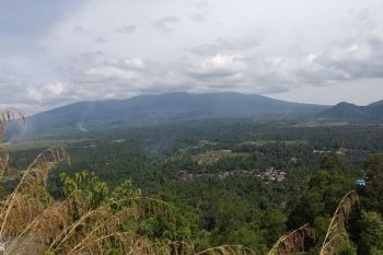 Sumsel jadi percontohan restorasi bentang alam di Indonesia