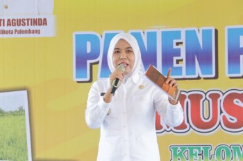 Pemkot Palembang perbaiki  iklim usaha tarik investor