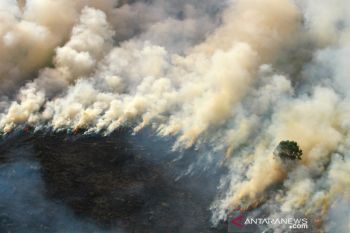 Kebakaran Hutan Dan Lahan