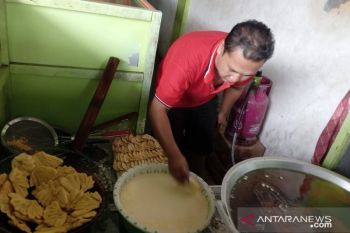 Pisang Kipas 50 Gold menggurita bersama Si "Pinky"